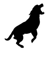 Dog Bites dog-bites