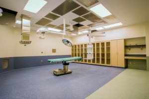 medical error lawyer case