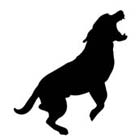 Dog Bite Lawyer