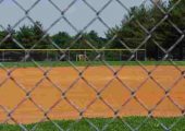 Baseball Mom Can't Sue Board Of Education
