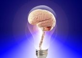 brain injury lawyer