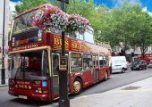 Bus Accident Lawyer Case